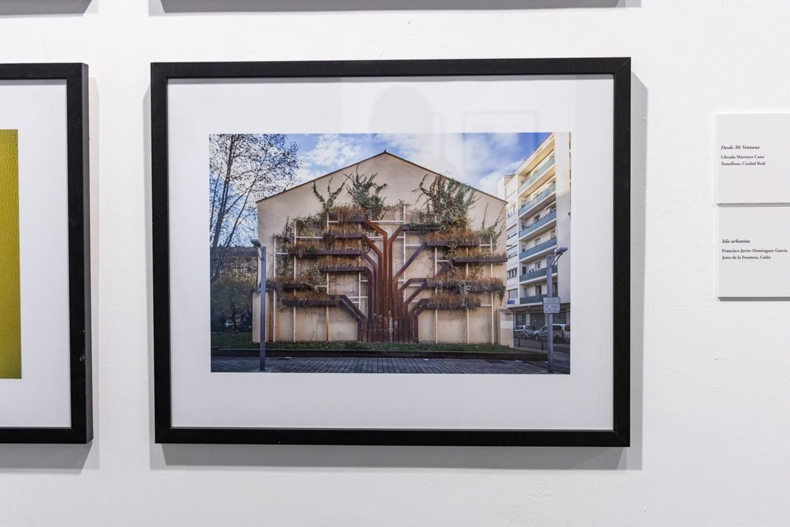 Fotografía para un mundo mejor en la Escuela José Nogué