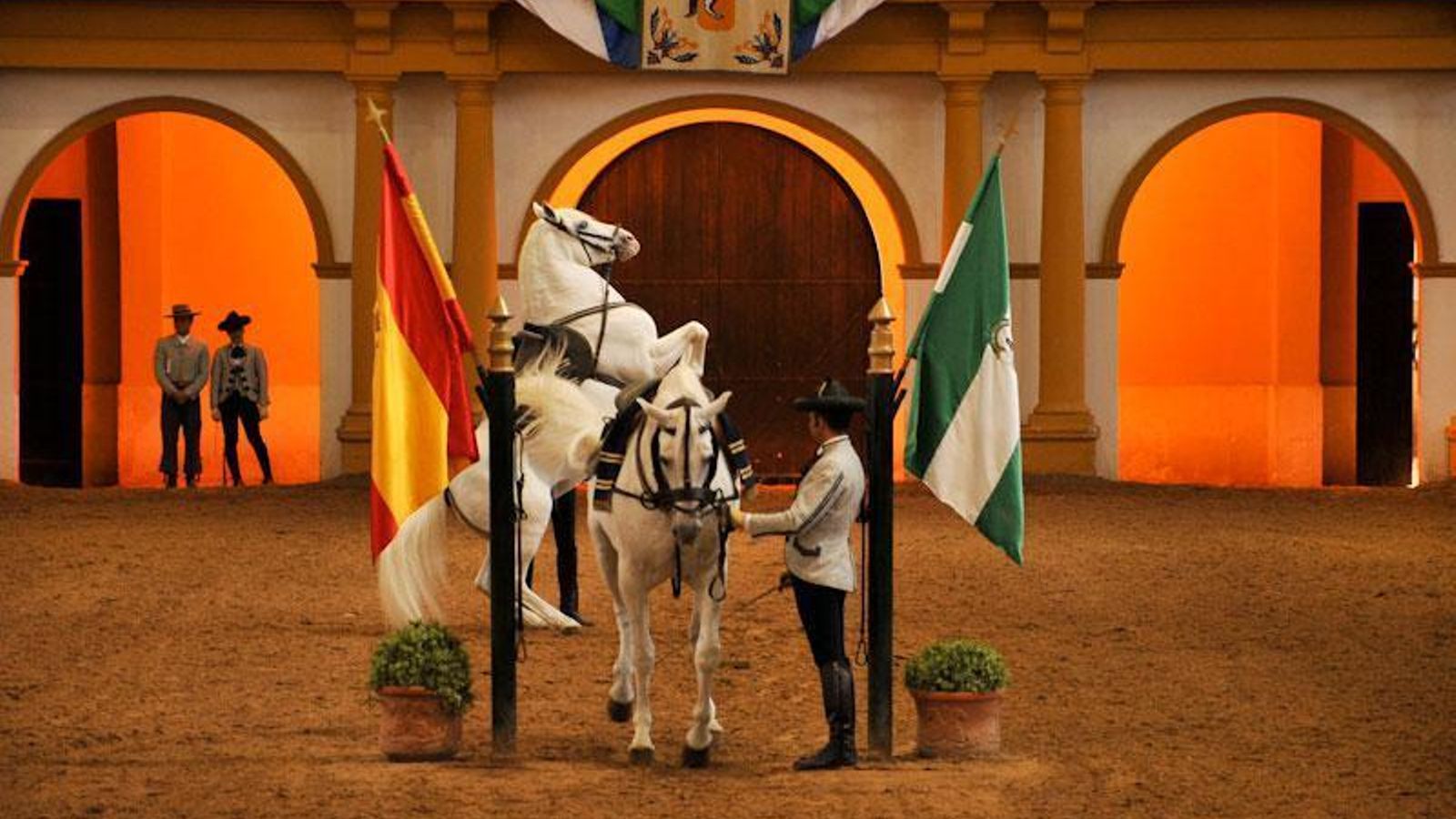 Cómo bailan los caballos.