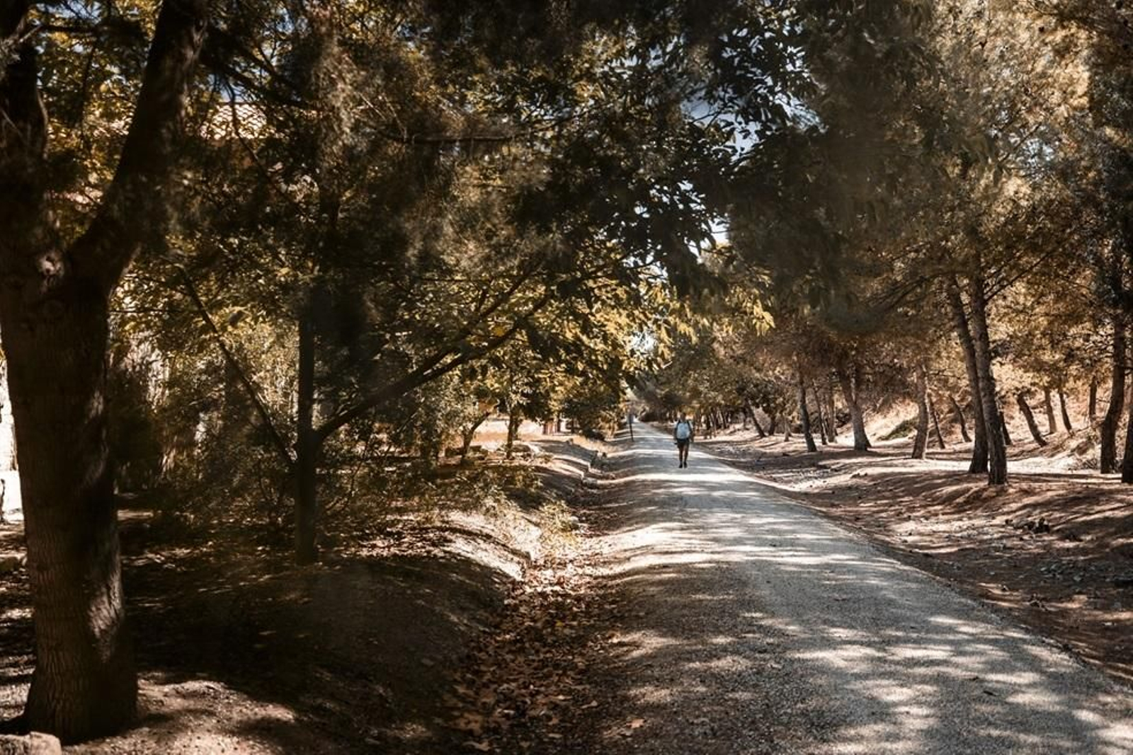 Estos son los municipios jienenses por los que discurre el Camino Mozárabe de Jaén