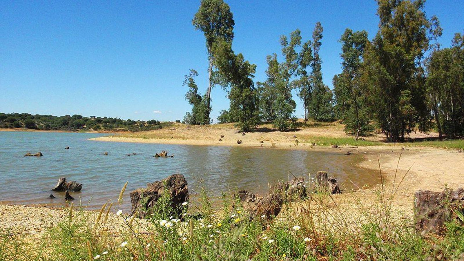 Pantano del Corumbel.