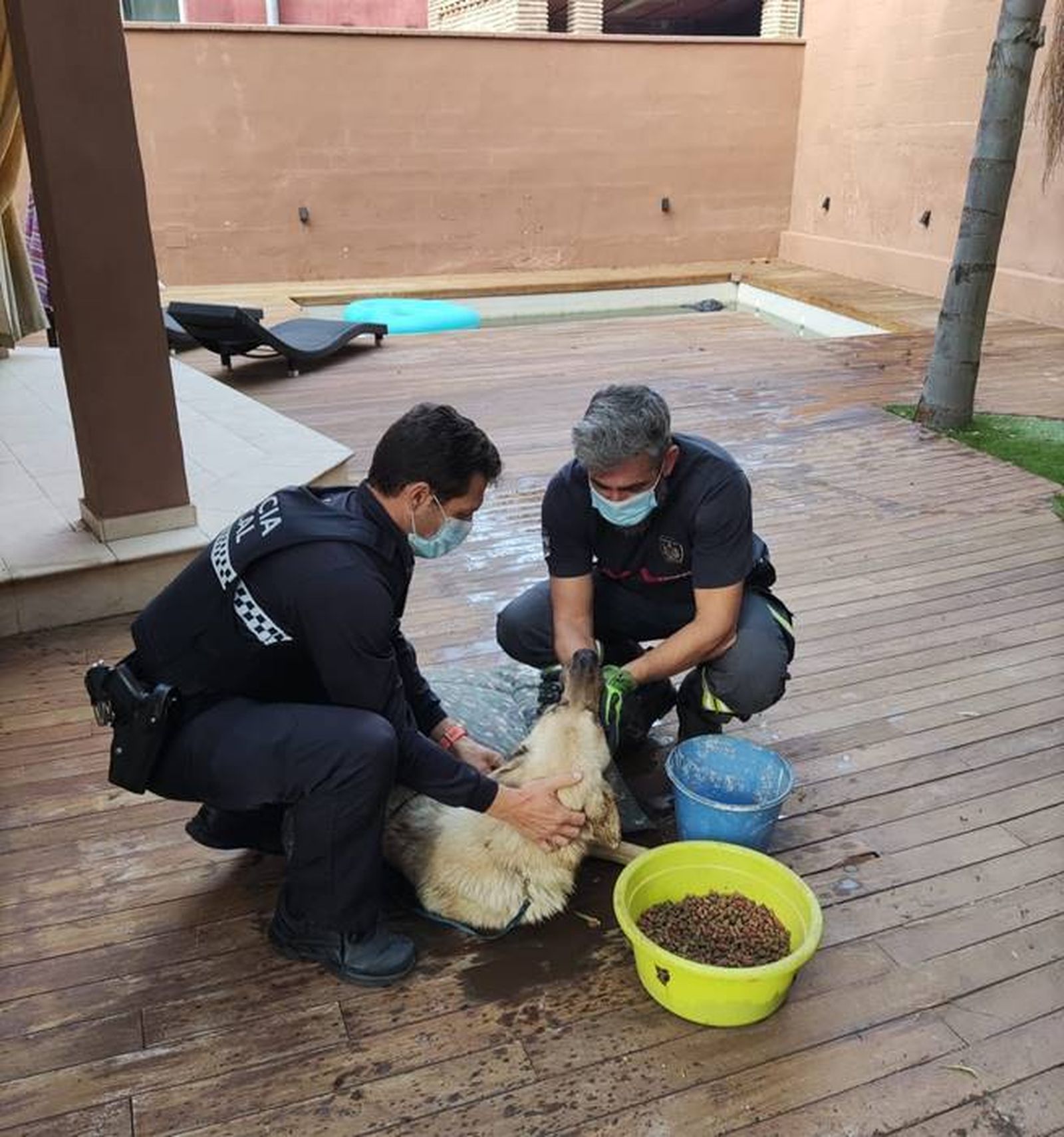 Rescatan a un perro que llevaba dos días dentro de una piscina en un chalé