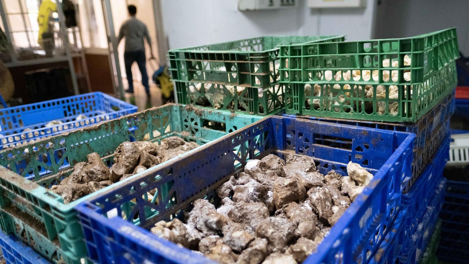 Productos dañados en la fábrica