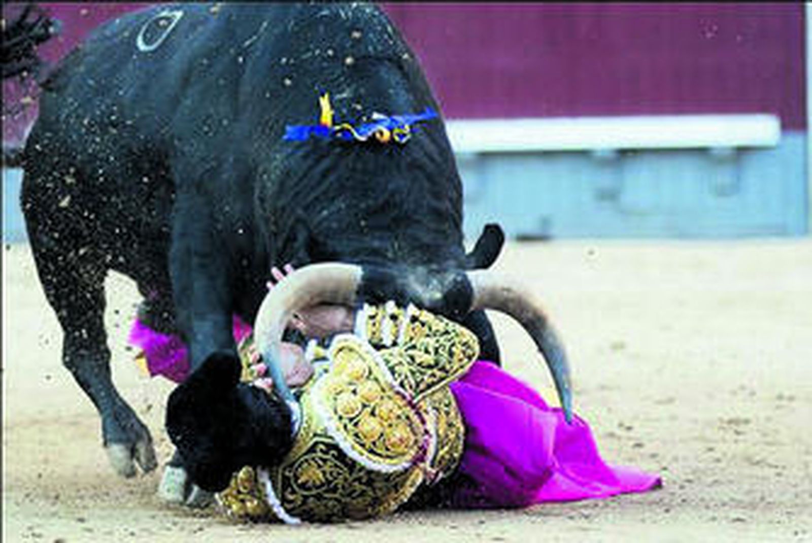 El novillero sevillano Pablo Aguado, cogido por el quinto novillo.