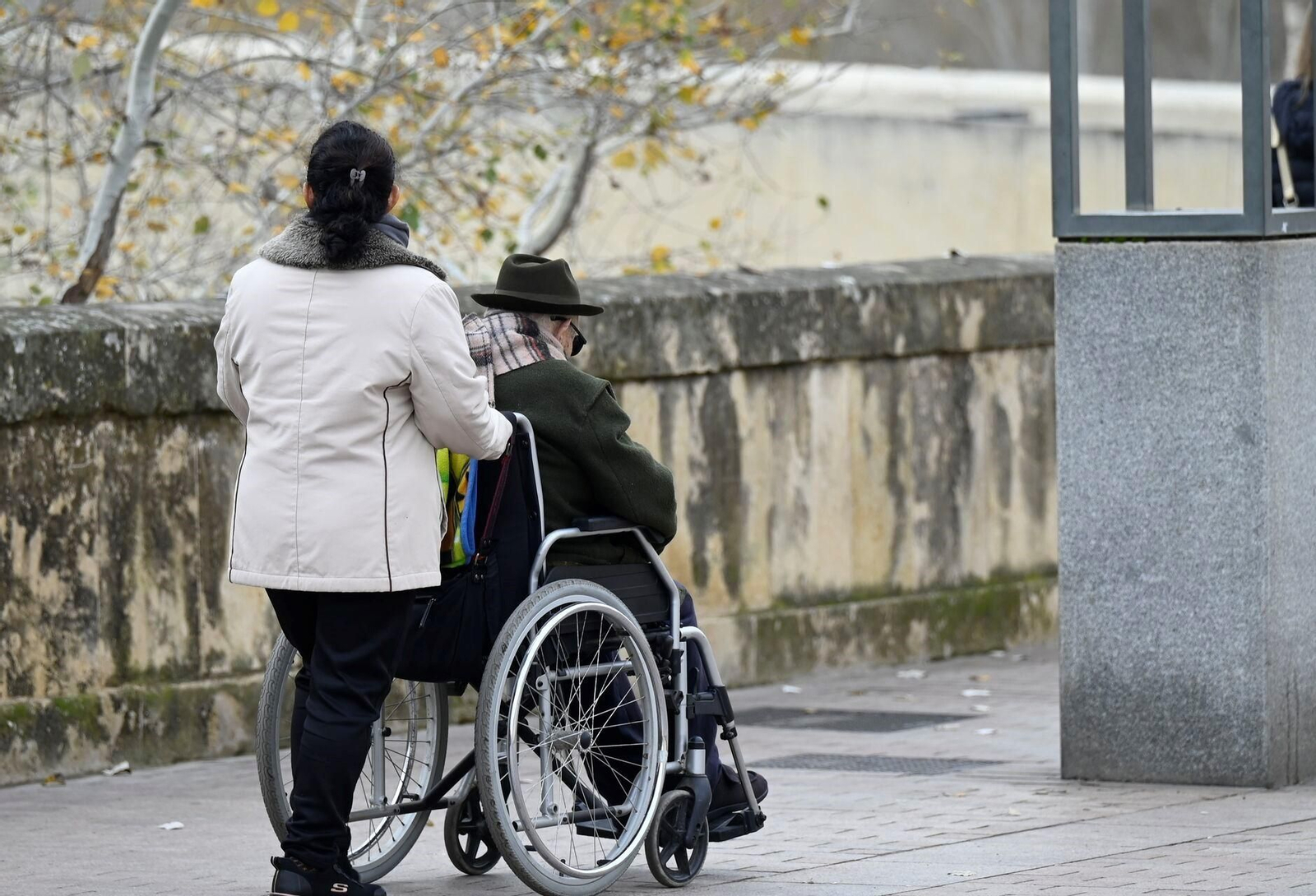 Un paseo en imágenes por la Ribera de Córdoba una gélida mañana