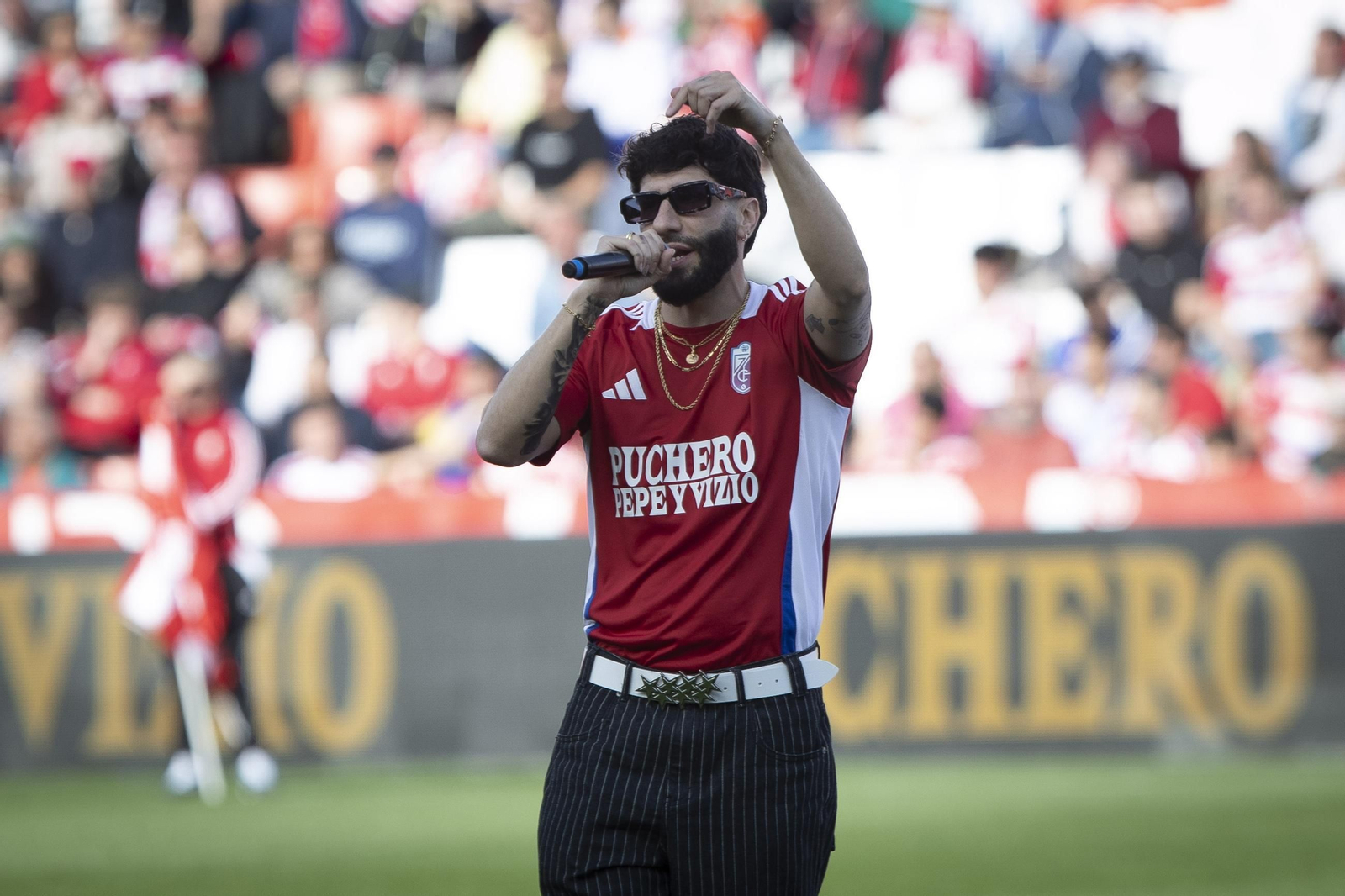 Encuéntrate en el recibimiento al Granada y la grada de Los Cármenes