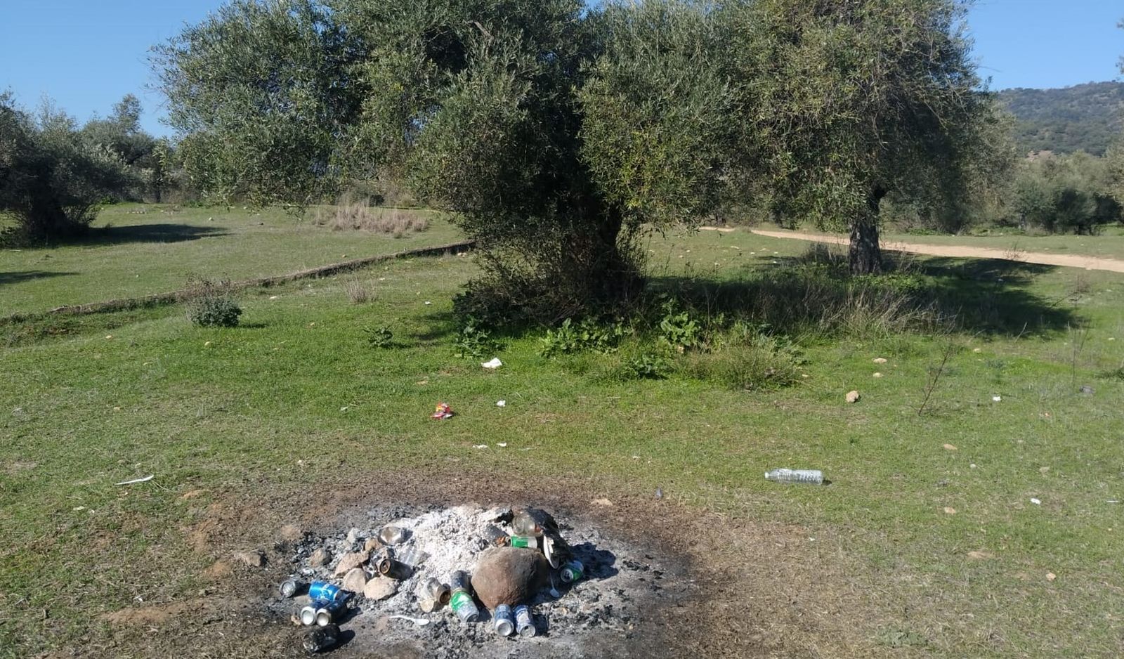Basura en el espacio natural de El Patriarca.