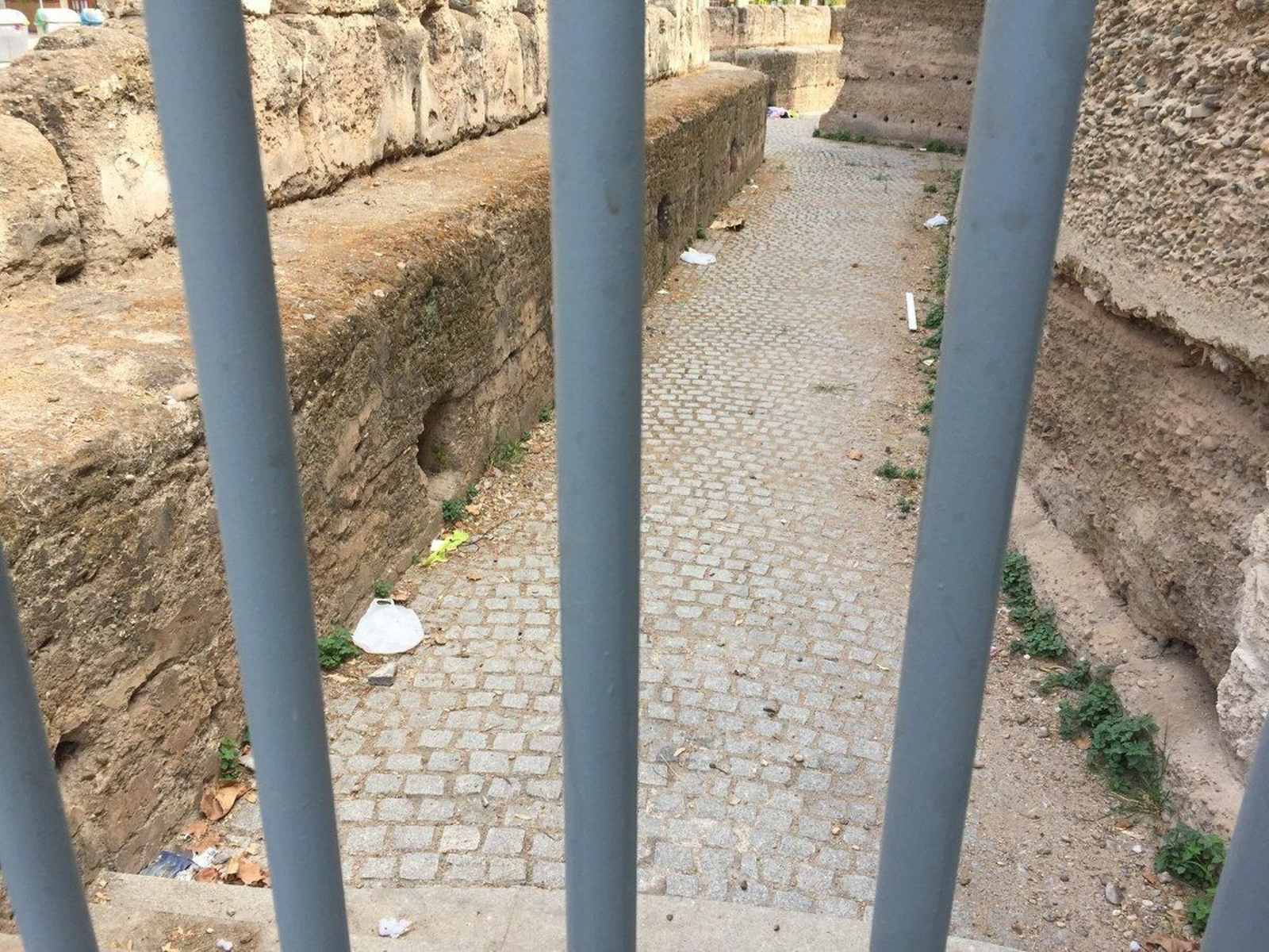 Galería de imágenes de la suciedad en distintos puntos de la ciudad.