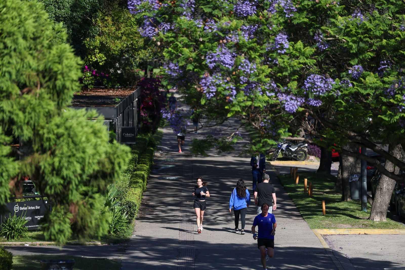 Varias personas hacen ejercicio en una zona de parque.