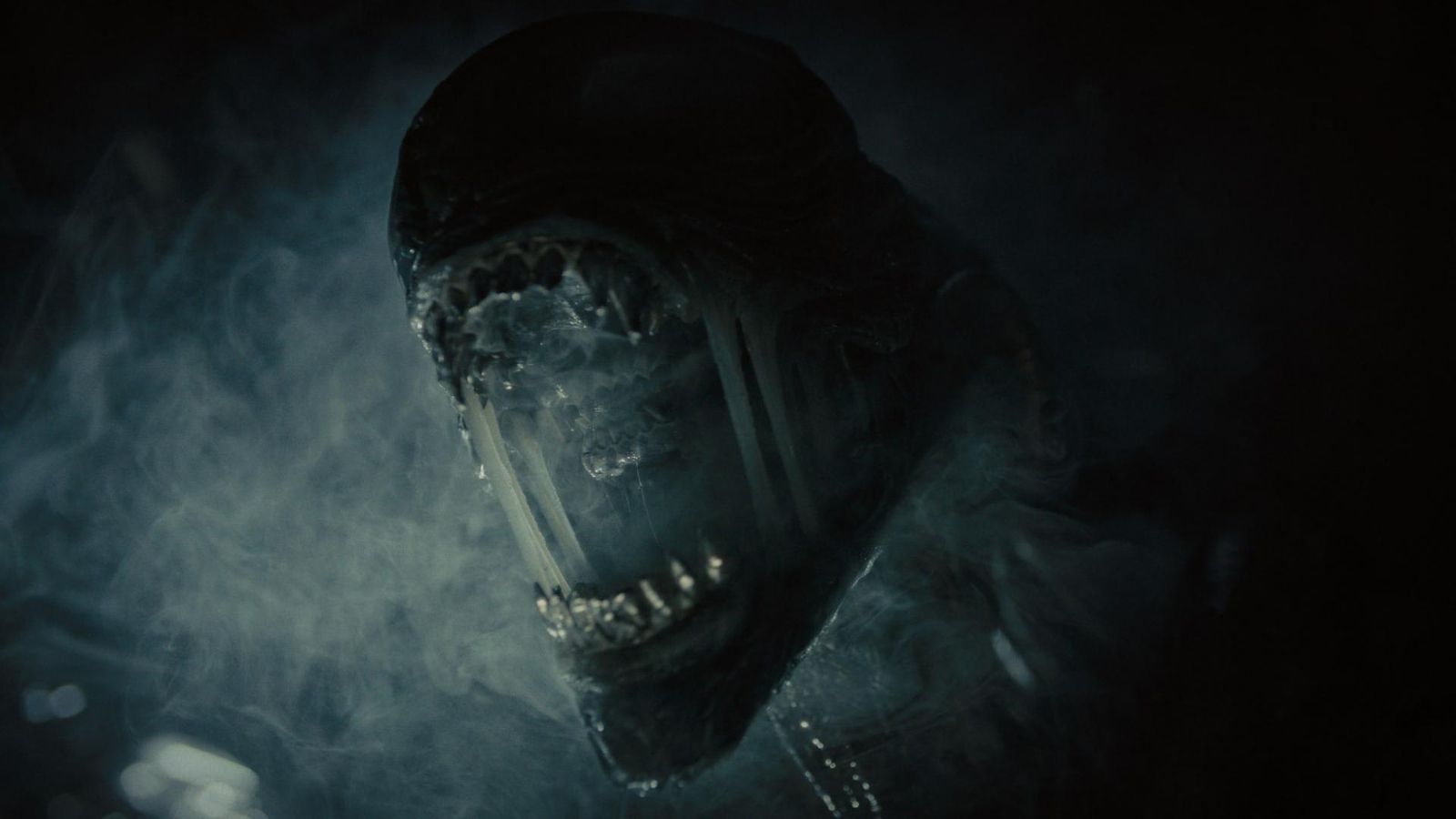 Una cita obligada para todos los seguidores de la saga 'Alien'. Una cita obligada para todos los seguidores de la saga 'Alien'.