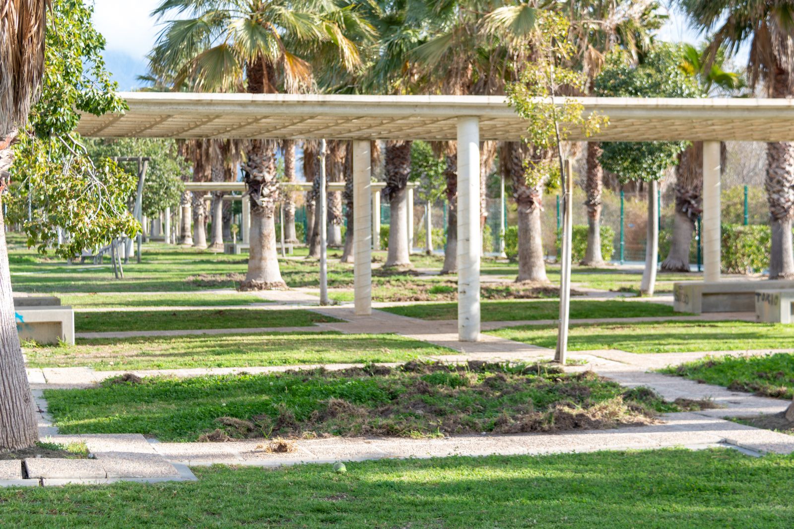 Destrozos en un parque de Playa Granada por una manada de jabalíes