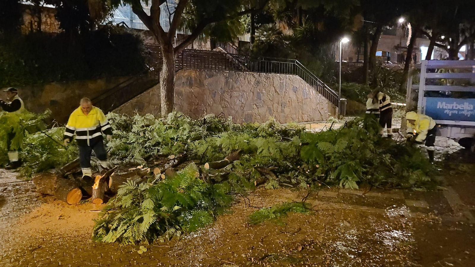 Operarios trabajando para retirar los árboles y ramas caídas en Marbella. Operarios trabajando para retirar los árboles y ramas caídas en Marbella.