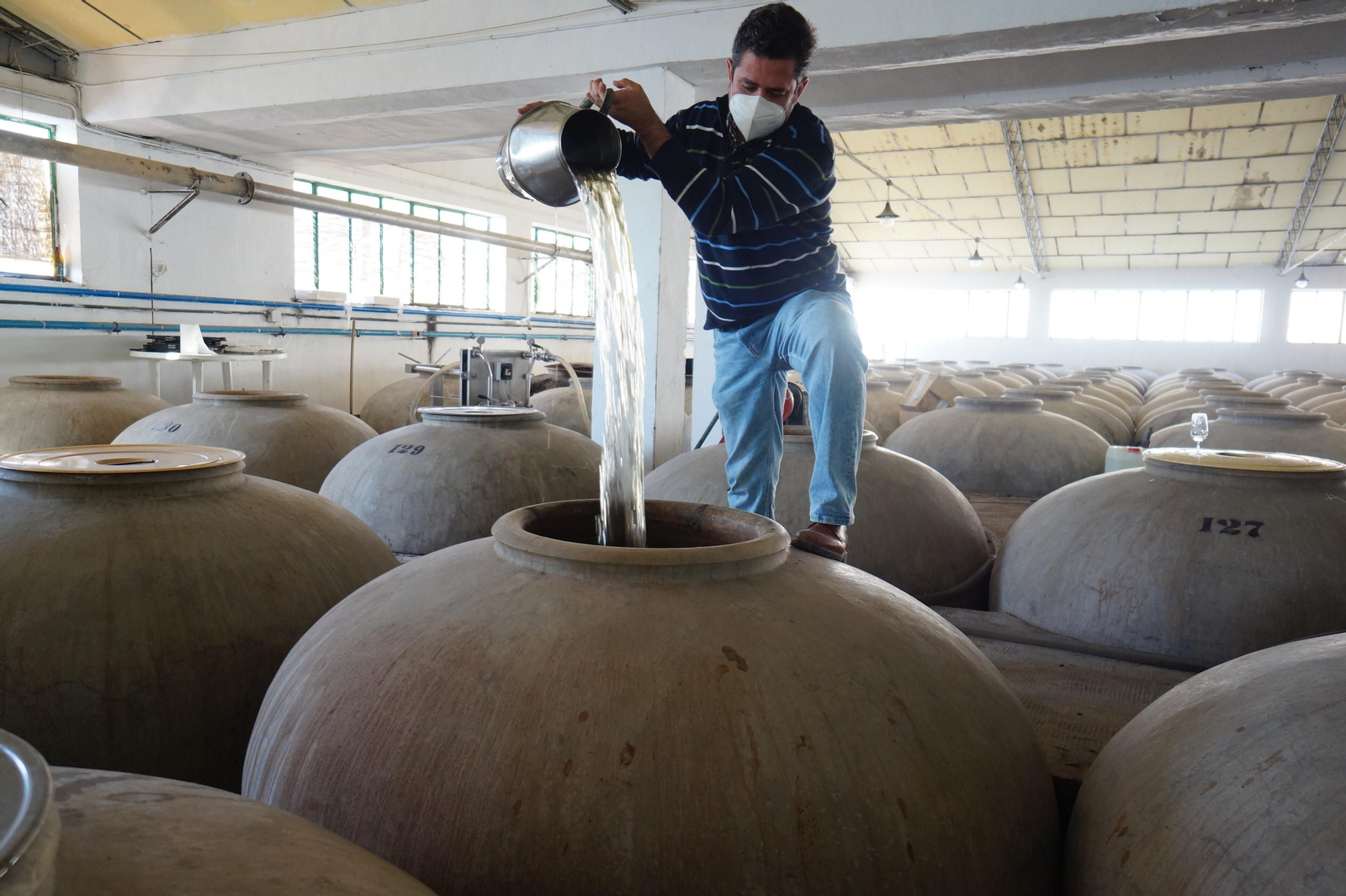Un recorrido en fotografías por el vino nuevo de Moriles
