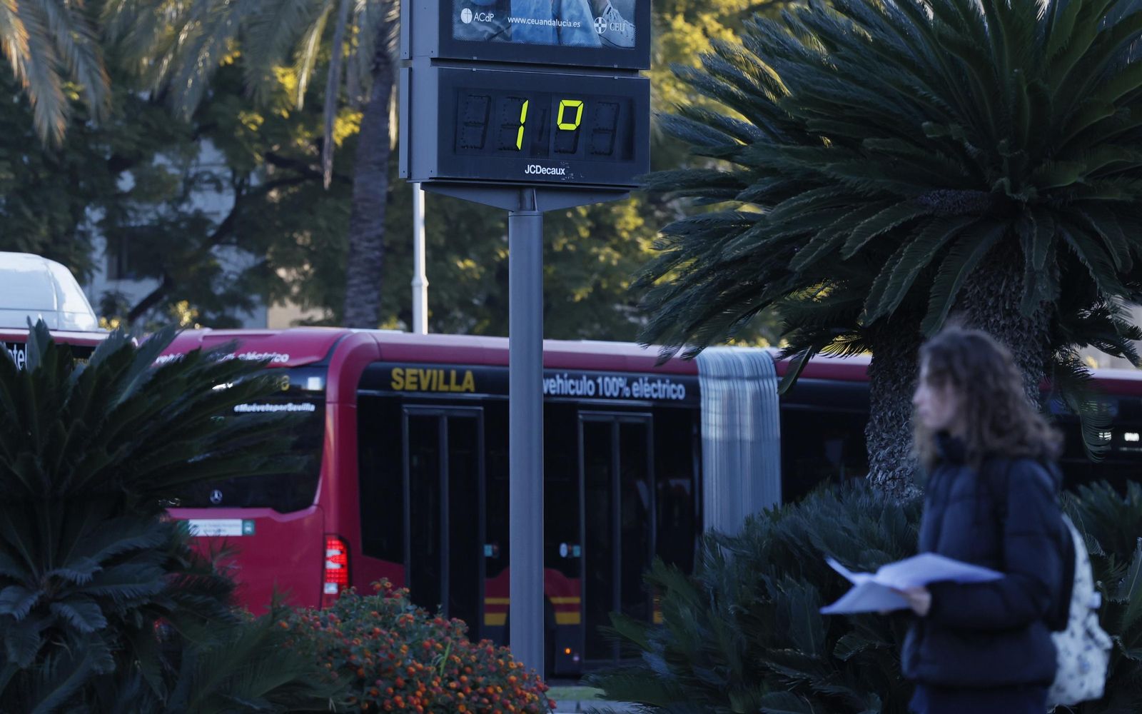 Las fotos del frío en Sevilla