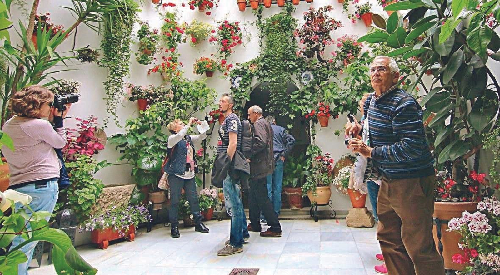 Ruta Alcázar Viejo: San Basilio, 15