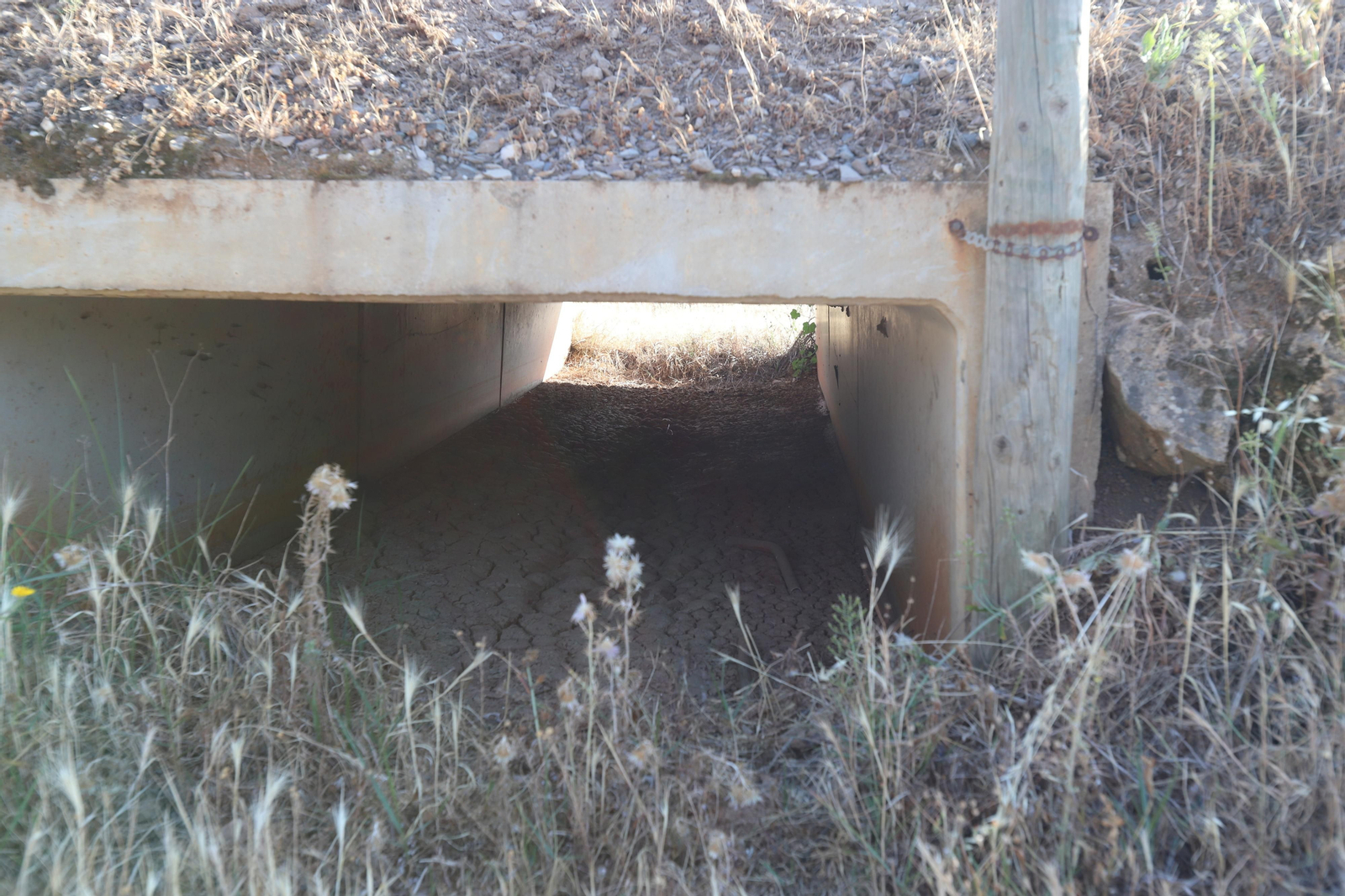Imágenes del estado en el que se encuentran los caminos del Rocío para la Romería 2023
