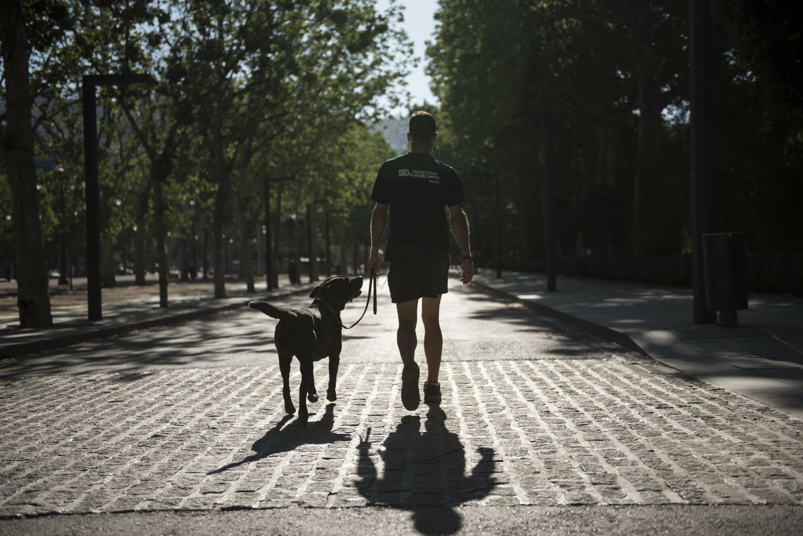 Un hombre pasea con su perro.