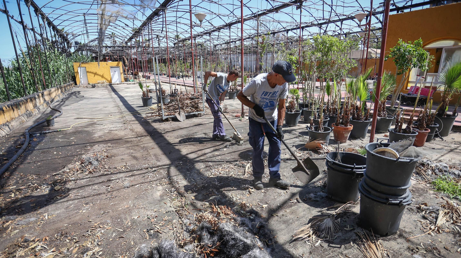Así son las labores de recuperación de Viveros Olmedo, más de un mes después del incendio que arrasó el negocio