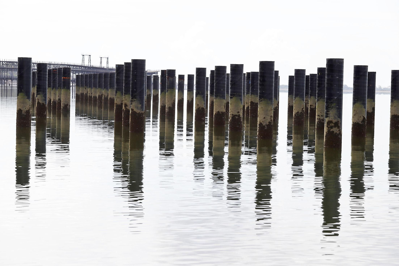 Visita a los avances de las obras de la Marina Deportiva del Odiel.