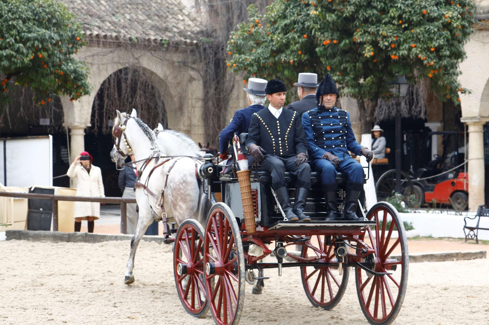 La exhibición de enganches en Caballerizas Reales de Córdoba, en imágenes