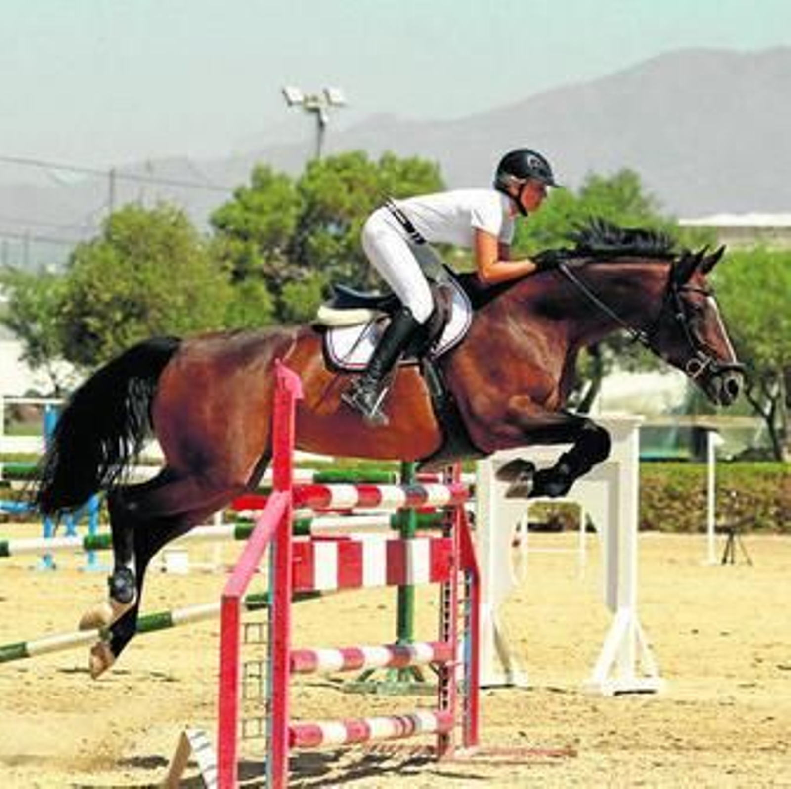 El Concurso Nacional de Saltos en el Club Hípico de Almería es una de las pruebas más espectaculares de la Feria.