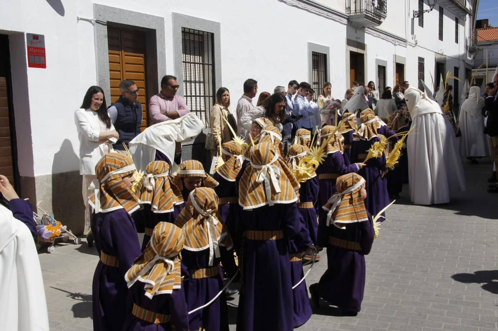 La procesión de la Borriquita en Hinojosa del Duque, en imágenes