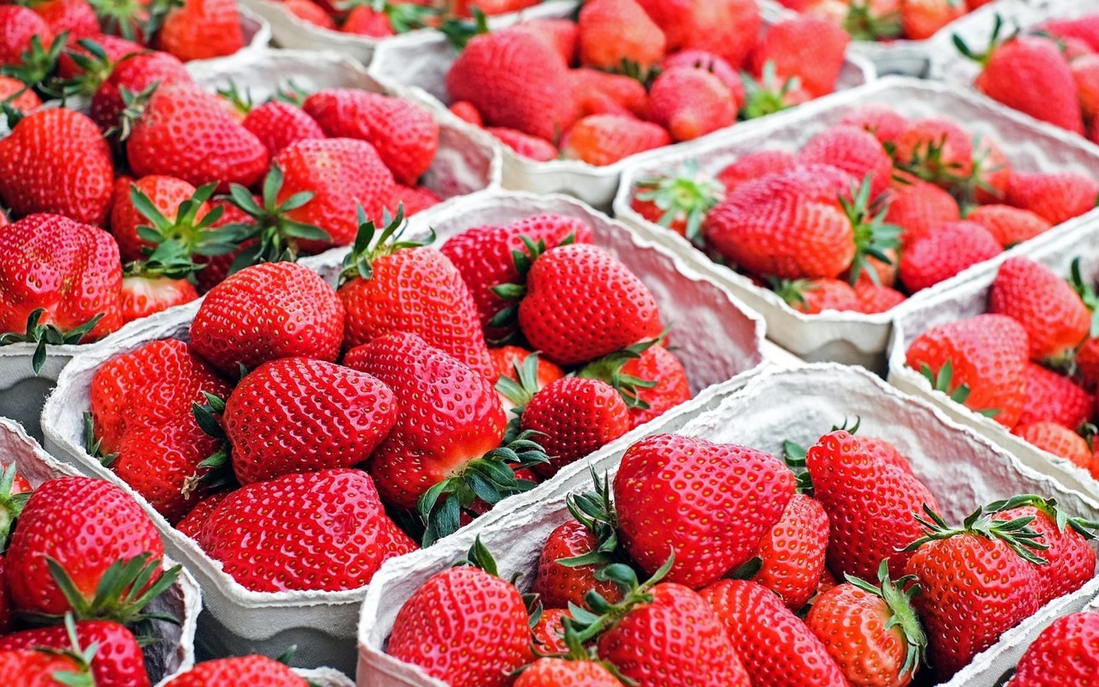 Fresas de Huelva.