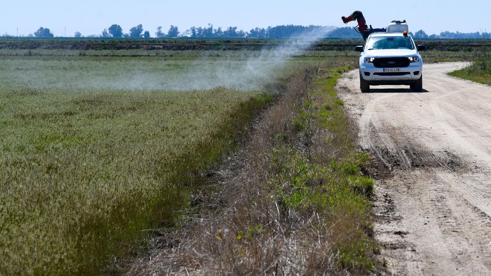 Trabajos de fumigación a cargo de la Diputación en La Puebla del Río. Trabajos de fumigación a cargo de la Diputación en La Puebla del Río.