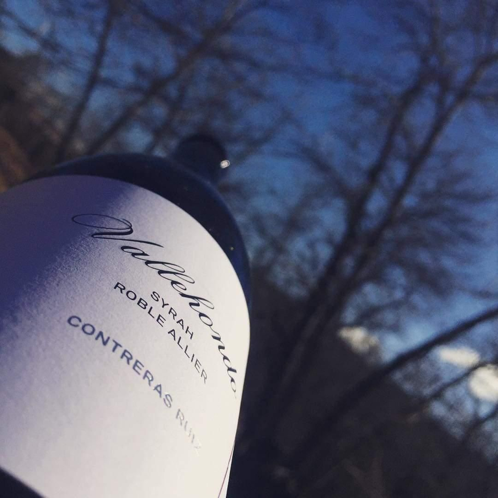 Vino Vallehondo de Bodegas Contreras Ruiz