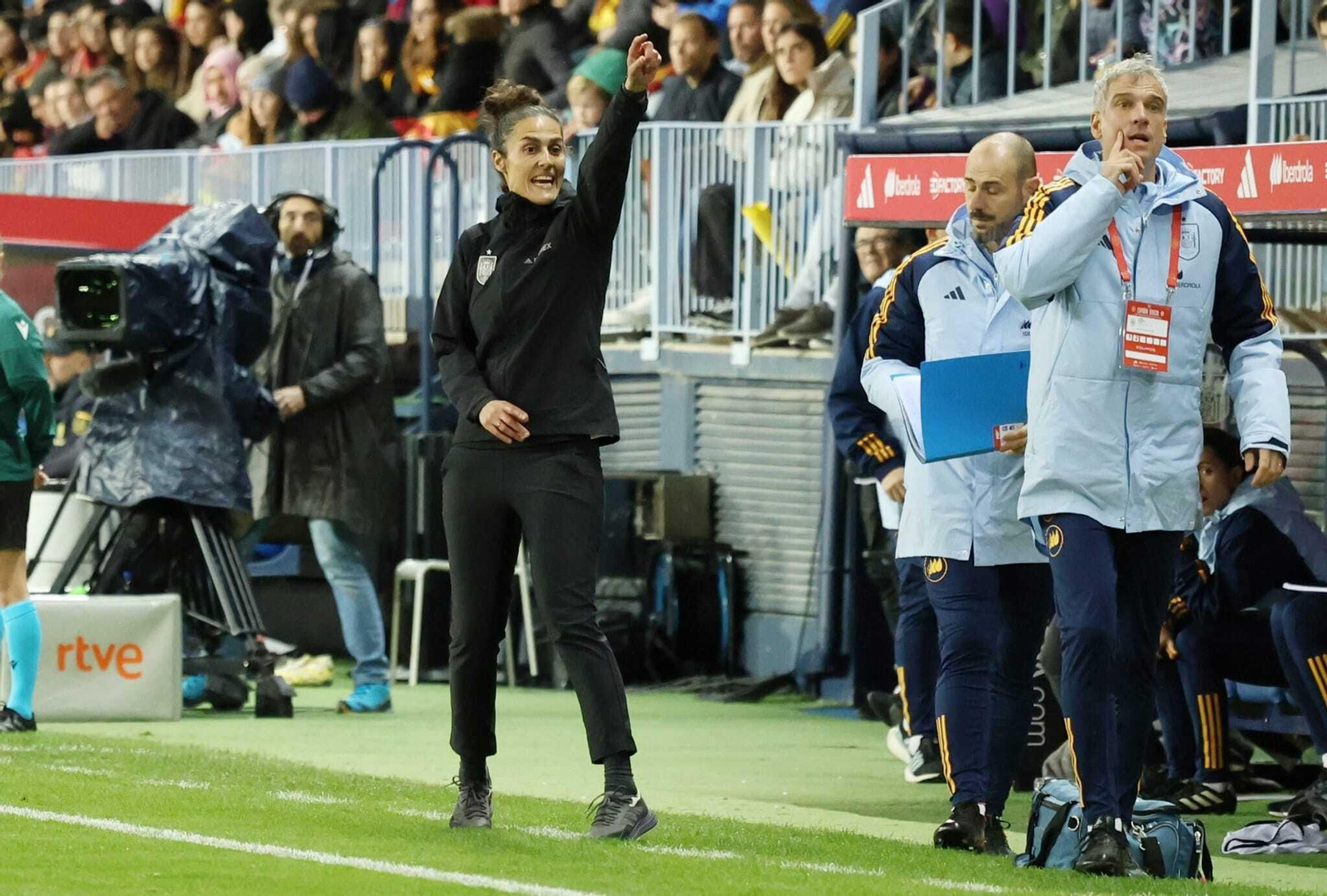 España-Suecia, en fotos