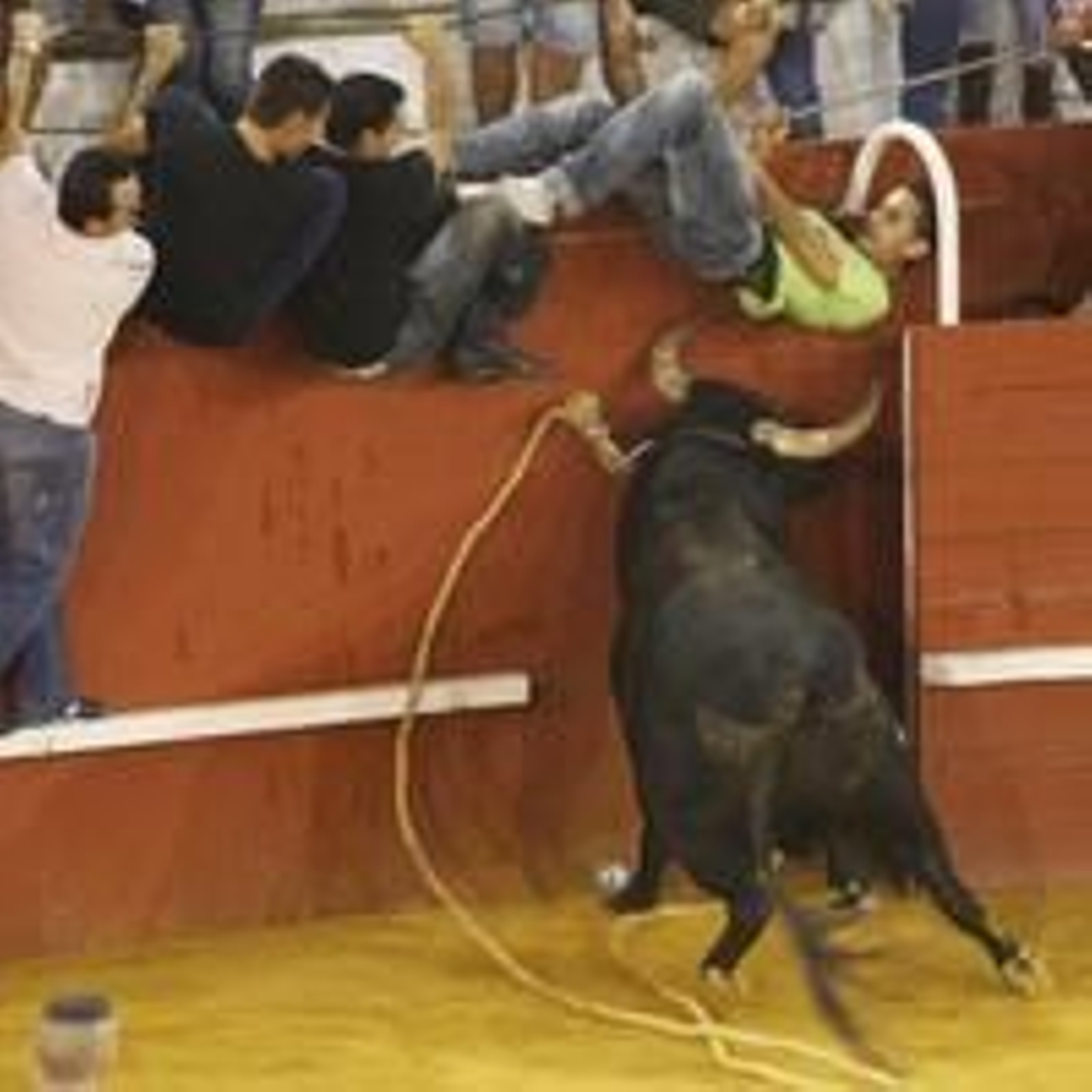 Con la suelta del llamado Toro del Aguardiente se pone el broche de oro a la feria de la localidad. No hubo que lamentar graves incidentes./Fotos:Paco Guerrero

Foto: Paco Guerrero