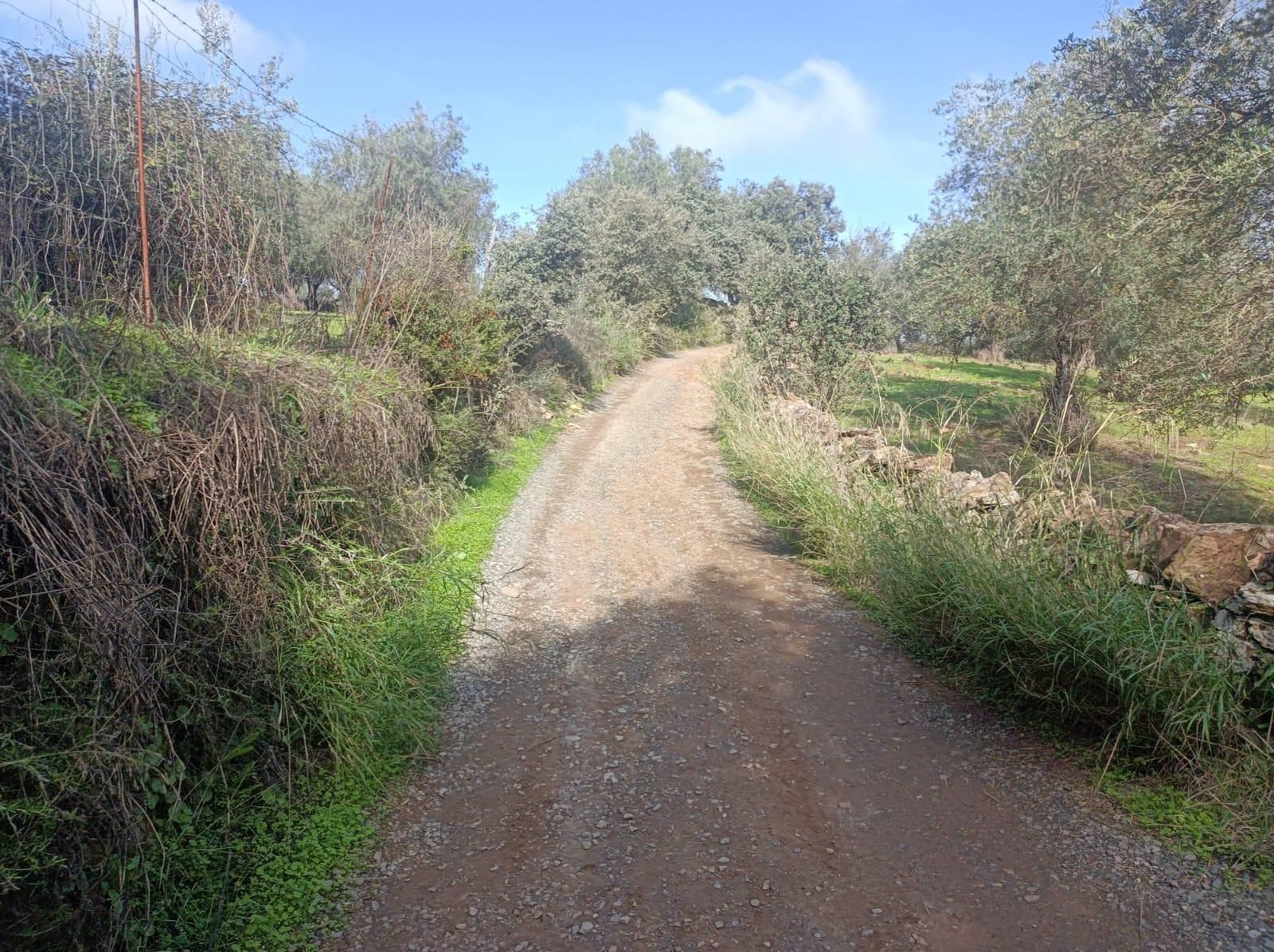 Tendremos que afrontar alguna que otra subida y bajada. En ocasiones el suelo pasa a ser de hormigón.