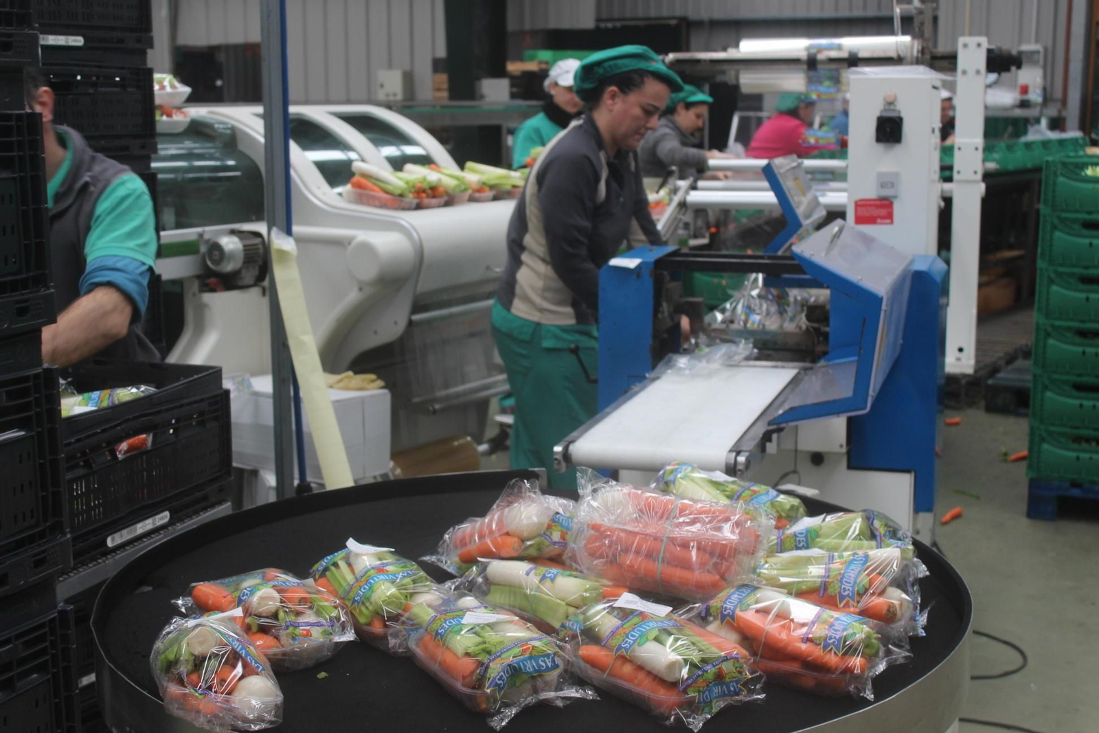 Actos con motivo del 8-M en la provincia