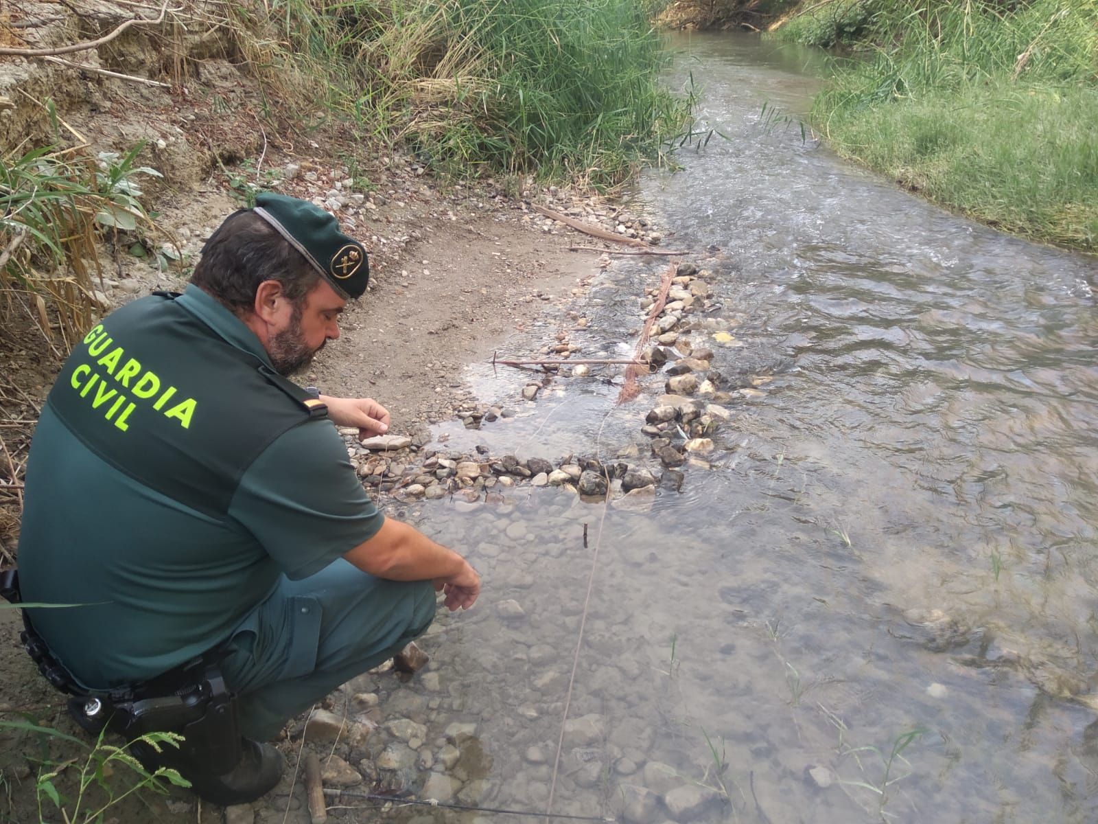 Imagen de la red usada para capturar jilgueros