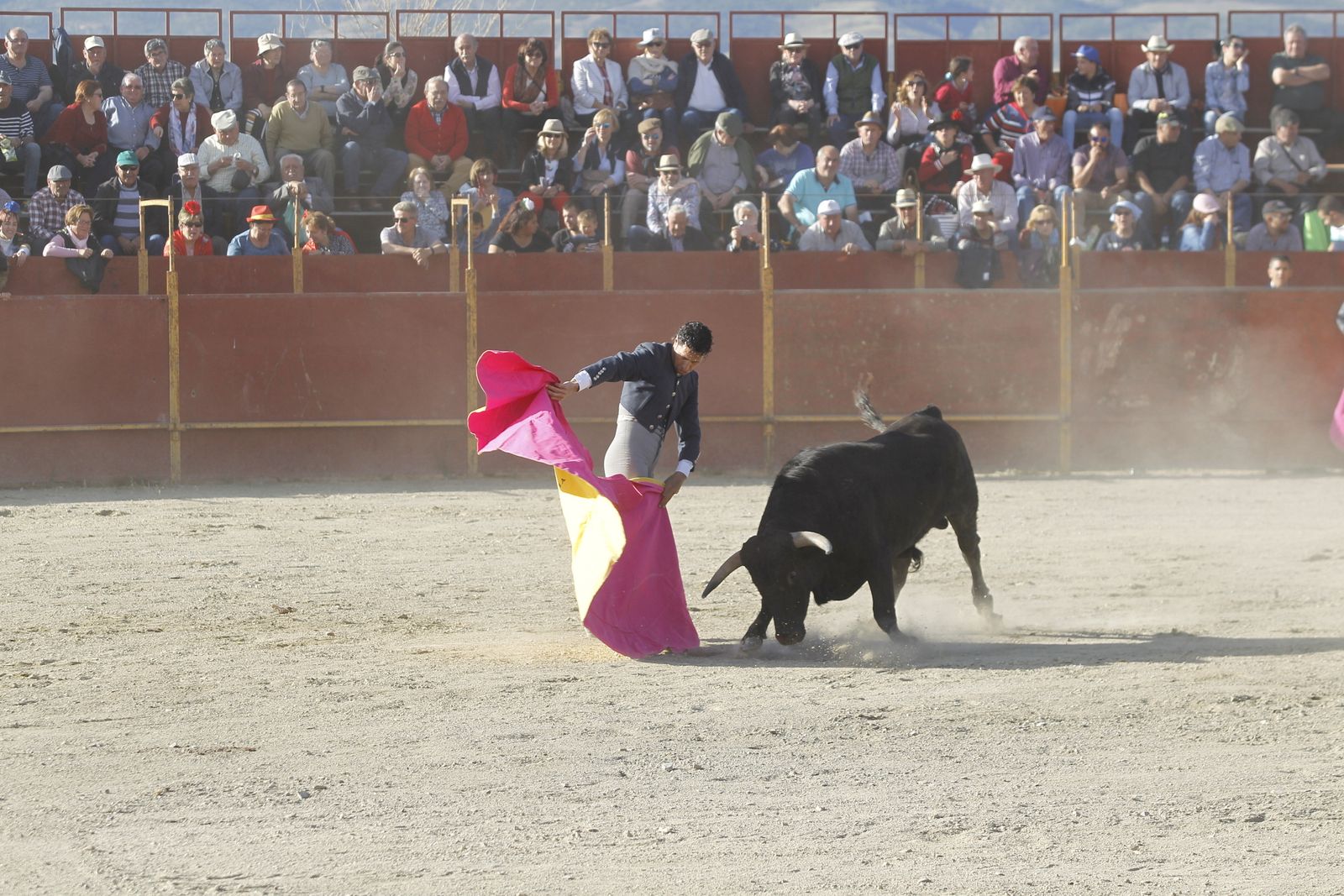 Fotogalería Festival Taurino Mixto. Fiestas de Abrucena.