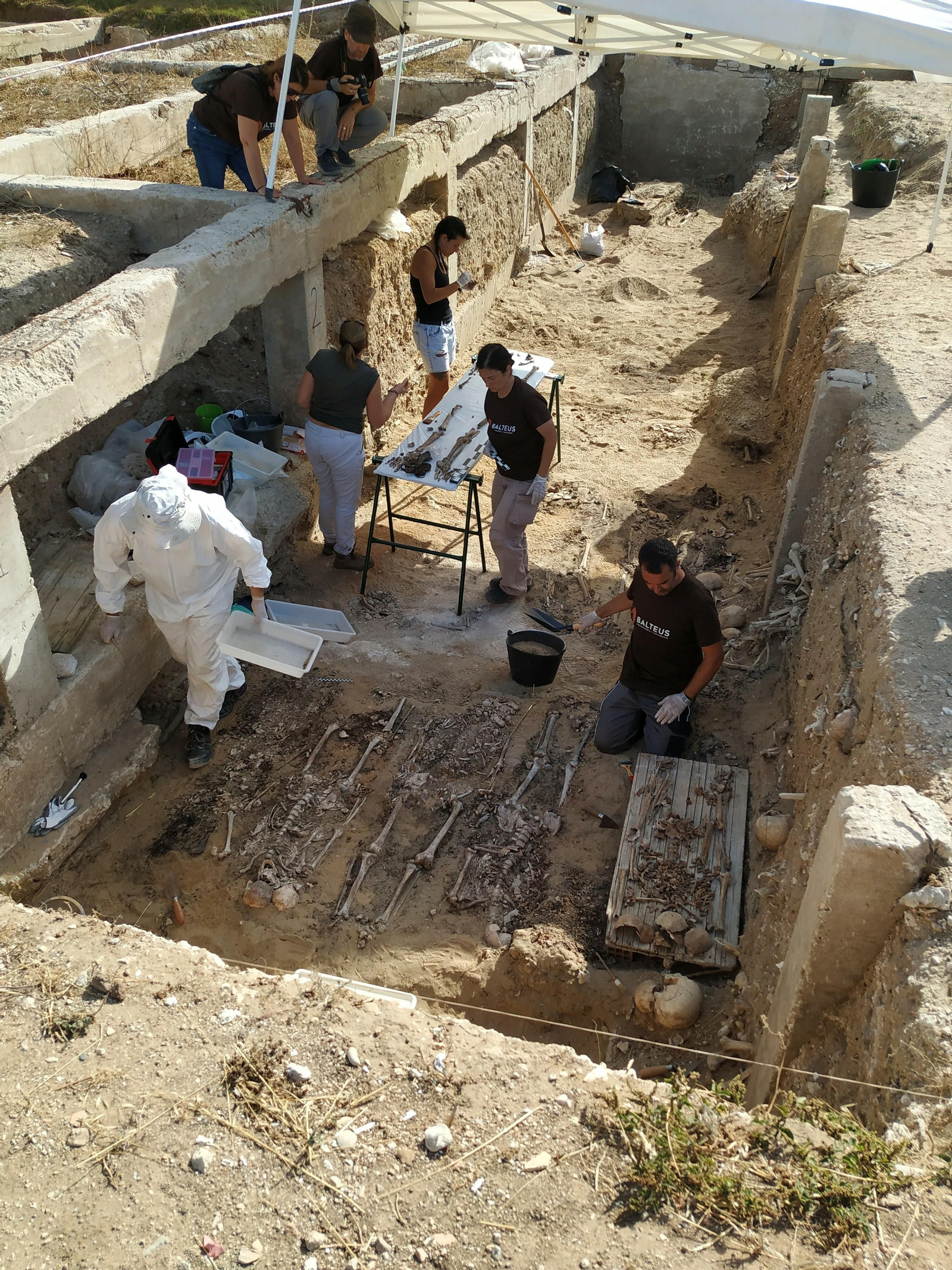 Arqueólogos y operarios trabajan en la fosa común norte del cementerio de San José durante este mes