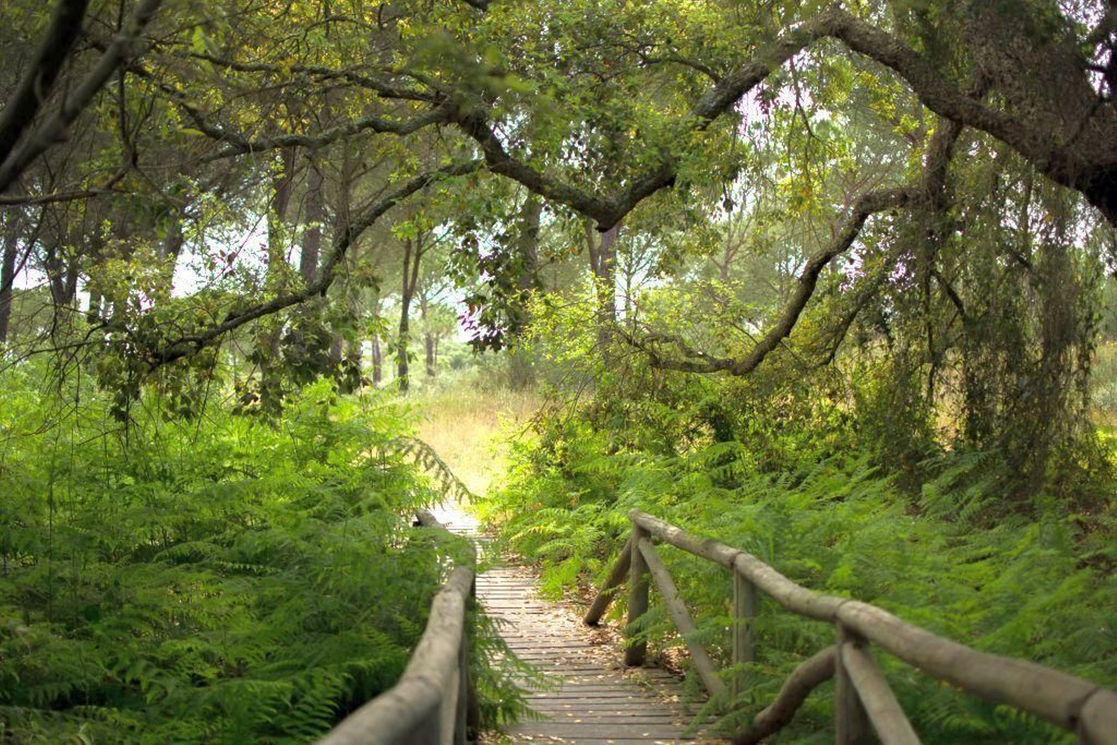 Sendero Charco la Boca