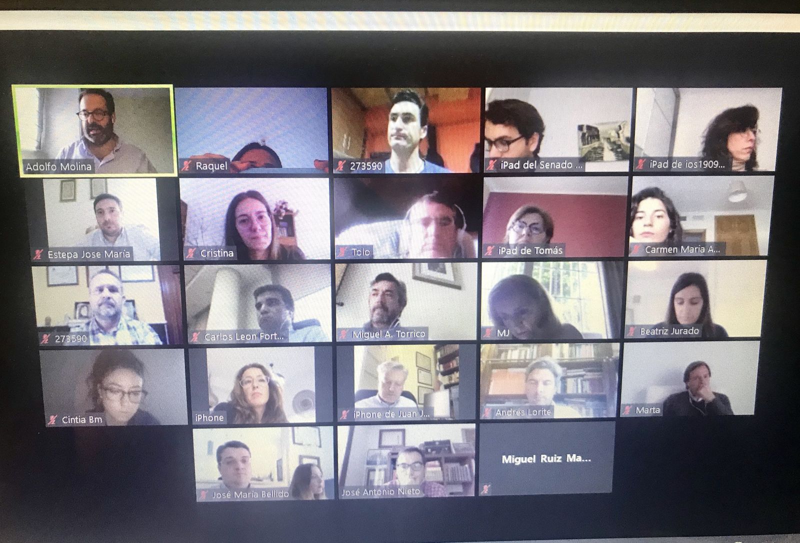 Comité de Dirección virtual del PP cordobés.