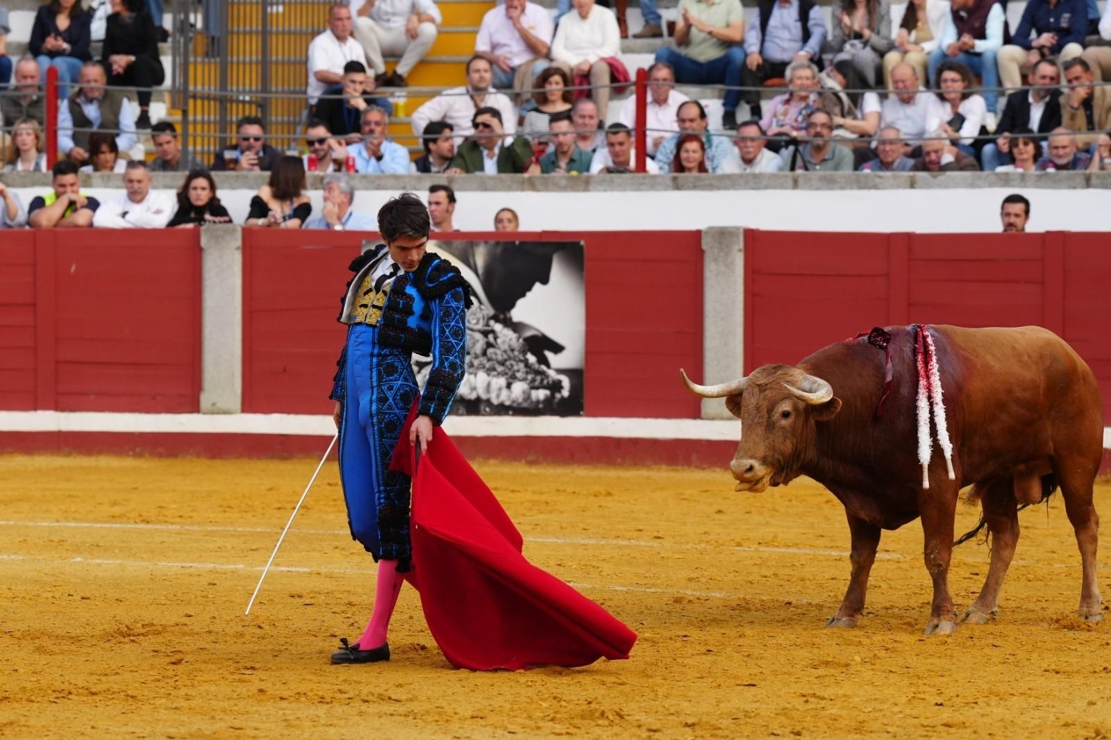 La corrida triunfal de Castella, Manzanares y Roca Rey en Pozoblanco, en imágenes