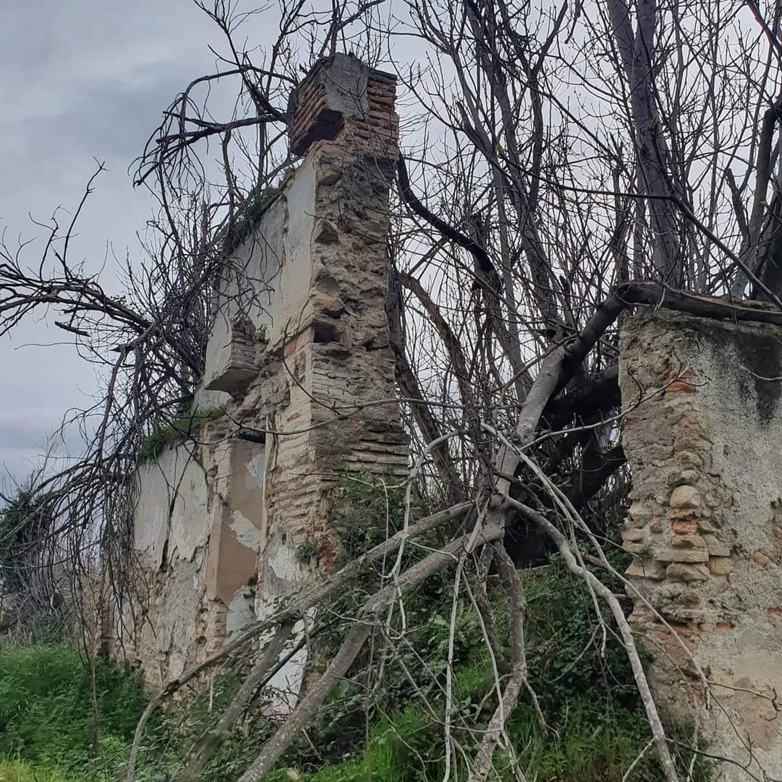 Ruinas del antiguo molino que ahora forma parte del patrimonio municipal.