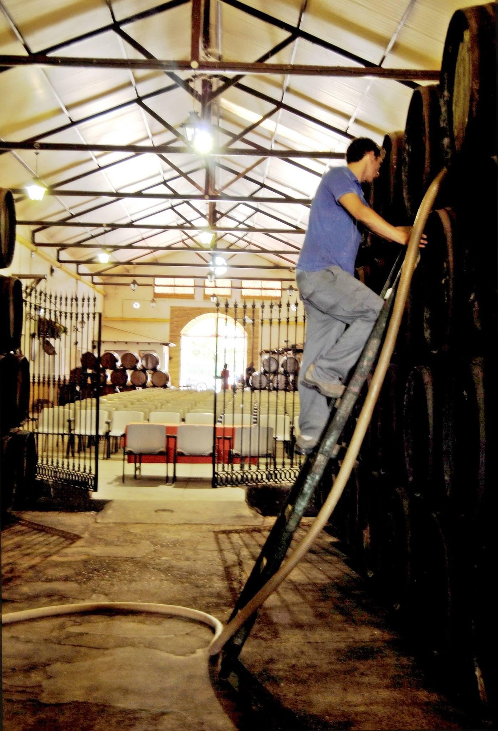 Bodega Cooperativa Católico Agrícola de Chipiona.