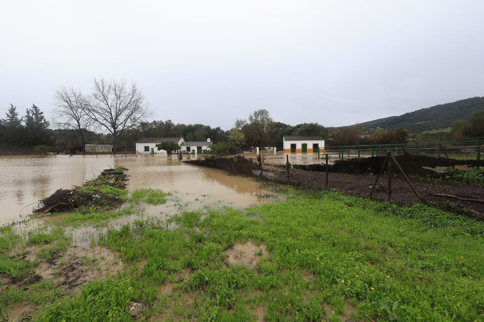 Fotos de las inundaciones y efectos de la borrasca Leonardo en Jimena y Tesorillo