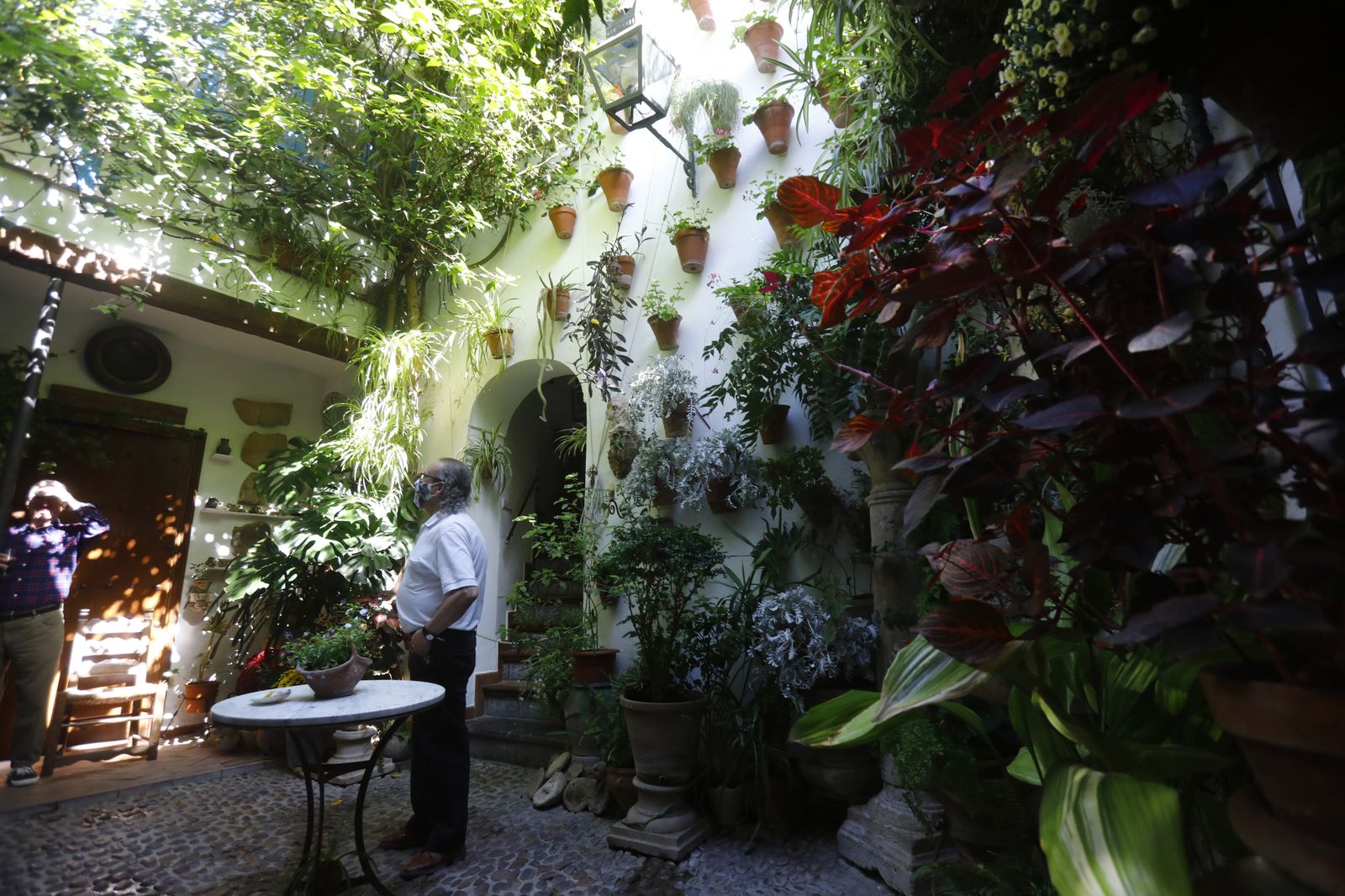 Un recorrido en fotografías por los Patios de Córdoba un domingo de otoño