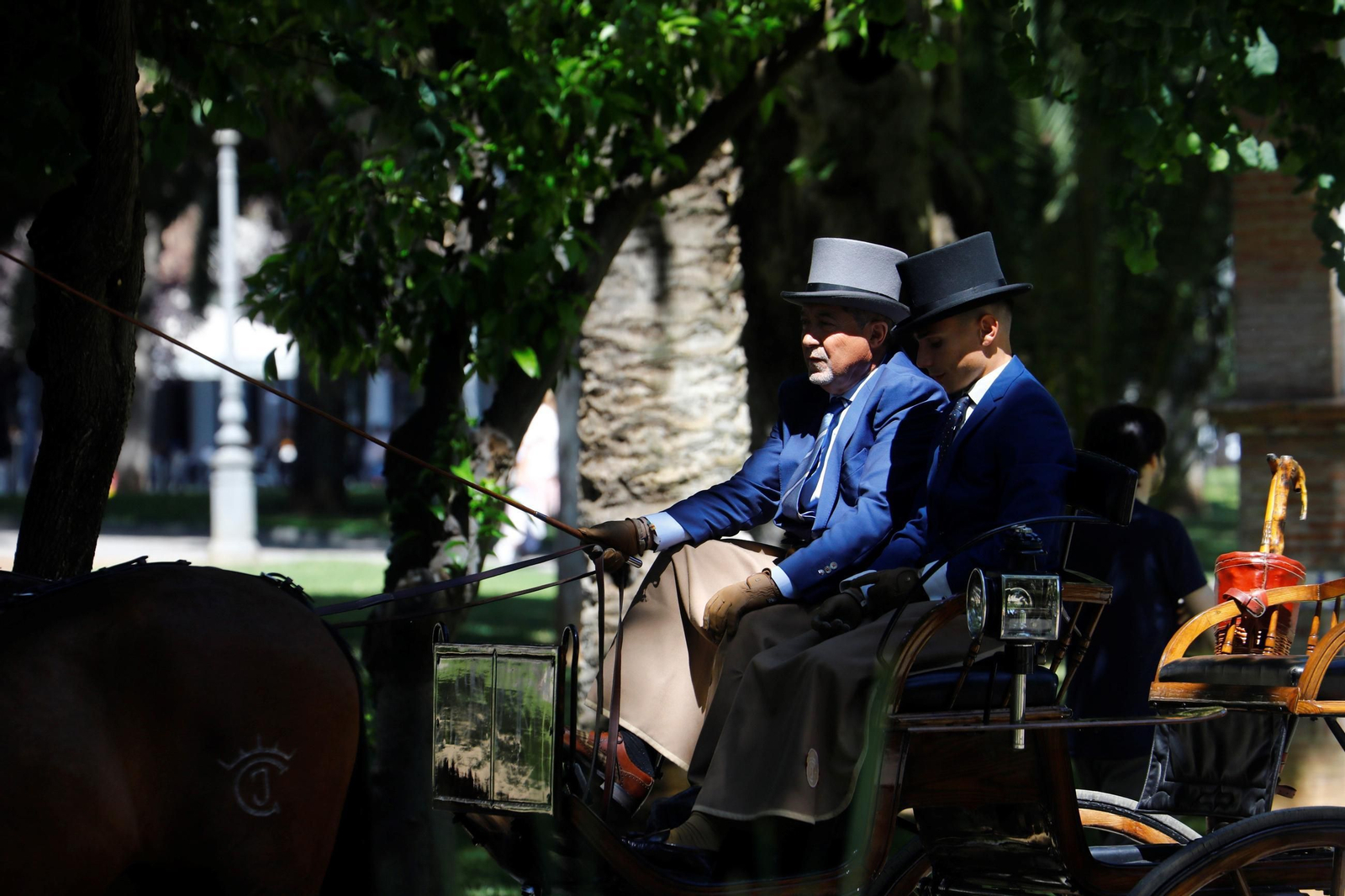 La exhibición de carruajes de tradición Nuestra Señora de la Salud, en imágenes