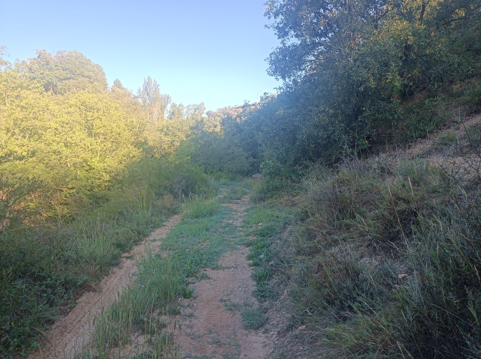 Subida a la Colada Torrellón.