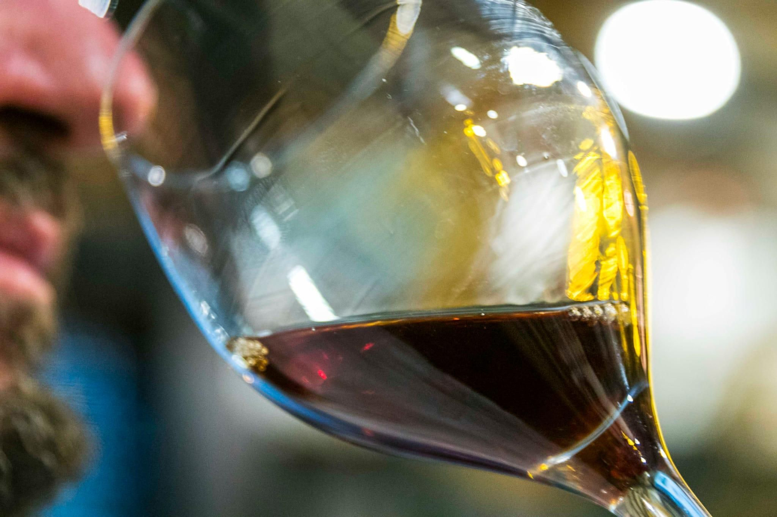 Descubre los vinos más sorprendentes elaborados en Jaén de la mano de Bomborombillos y Pedro Olivares.