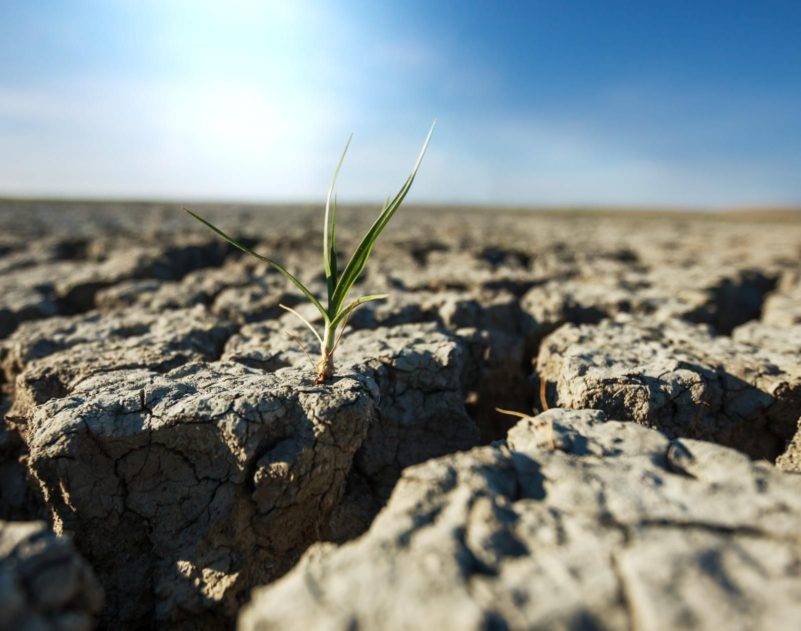 Tierra seca | Imagen de archivo