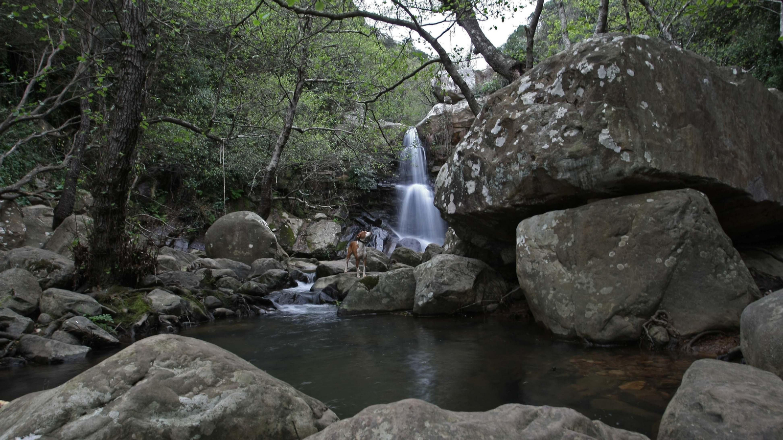 Garganta del Capitán