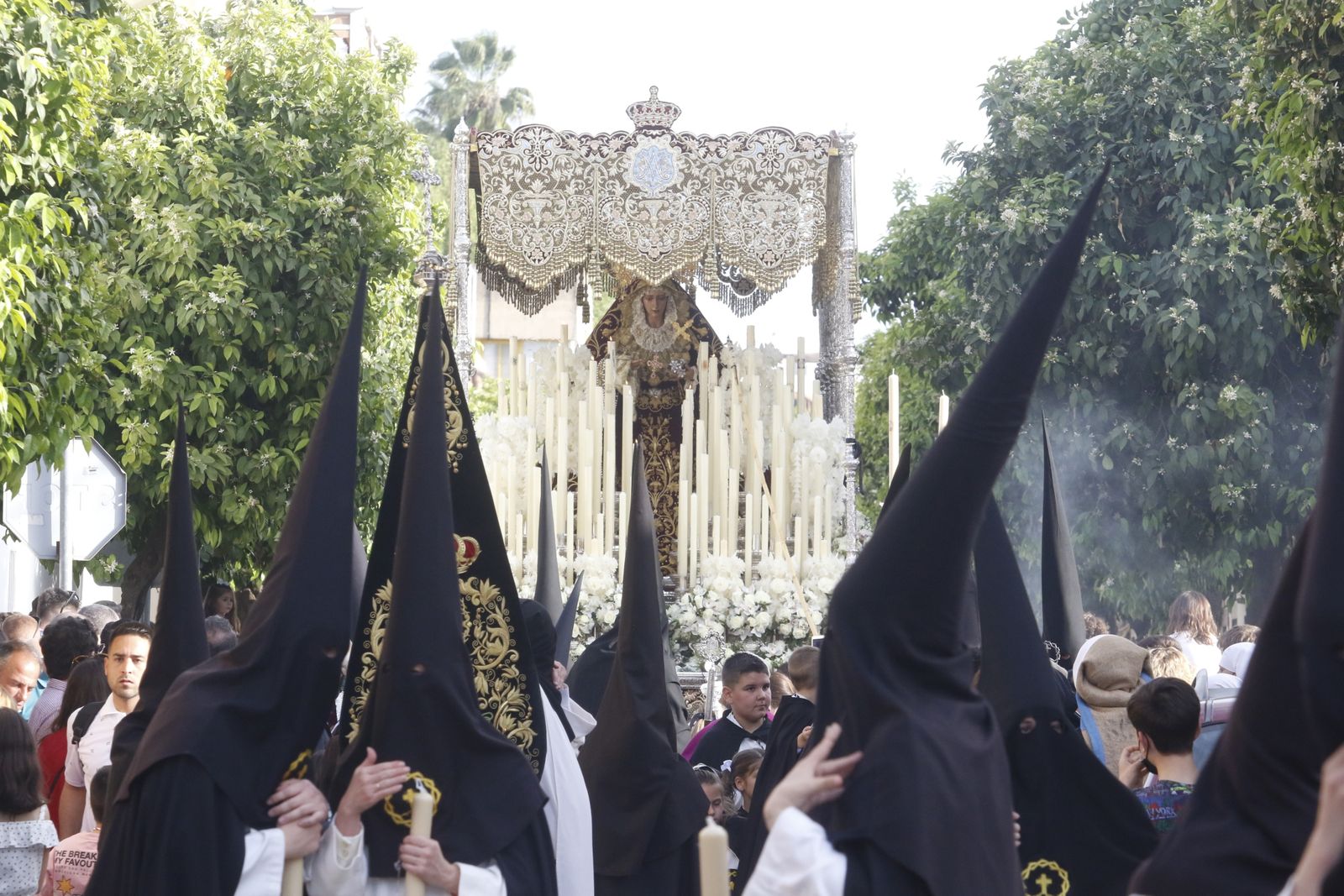 Domingo de Ramos en Córdoba: La procesión del Amor, en imágenes