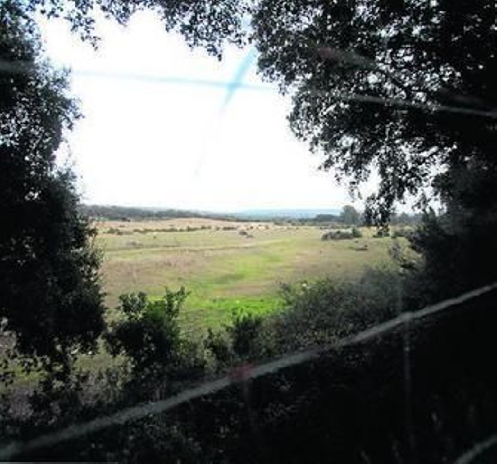 Vista parcial de la finca de La Almoraima, en el Campo de Gibraltar.
