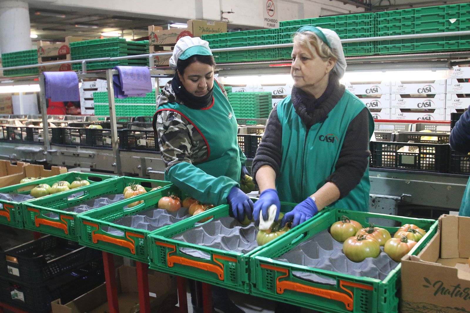 Dos trabajadoras en la planta de procesado de la cooperativa almeriense CASI.